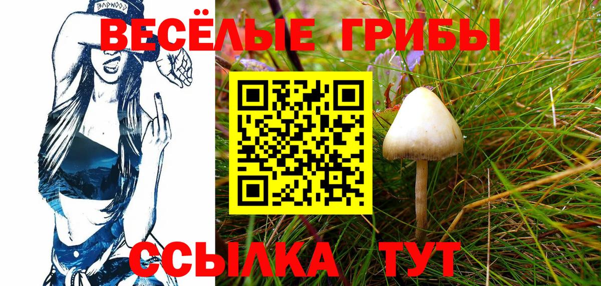 Псилоцибиновые грибы мухоморы Когалым
